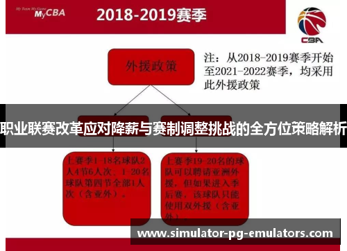 职业联赛改革应对降薪与赛制调整挑战的全方位策略解析