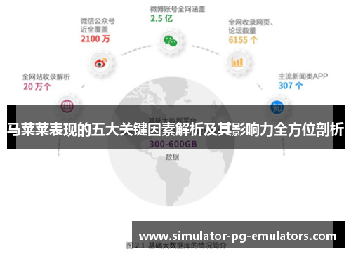 马莱莱表现的五大关键因素解析及其影响力全方位剖析