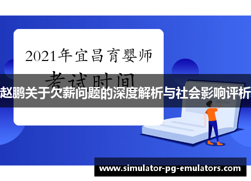 赵鹏关于欠薪问题的深度解析与社会影响评析
