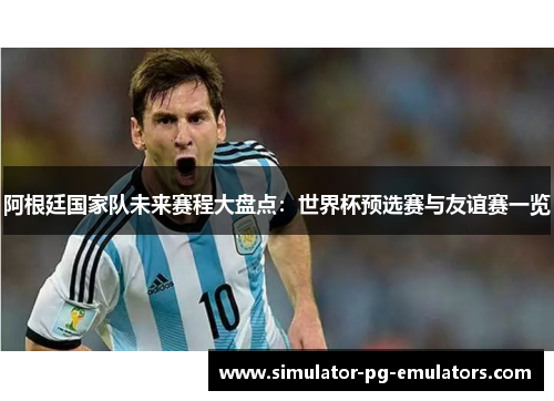 阿根廷国家队未来赛程大盘点：世界杯预选赛与友谊赛一览