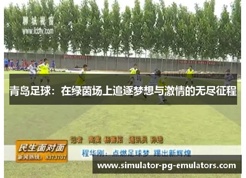 青岛足球：在绿茵场上追逐梦想与激情的无尽征程