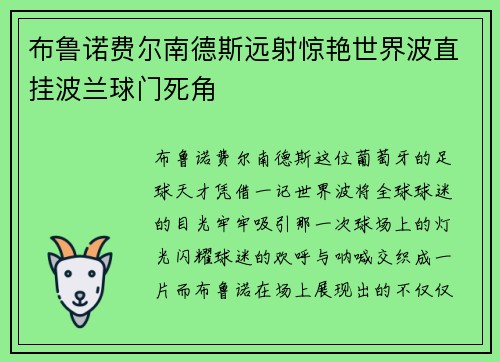 布鲁诺费尔南德斯远射惊艳世界波直挂波兰球门死角